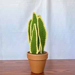 Light Green Crochet Snake Plant